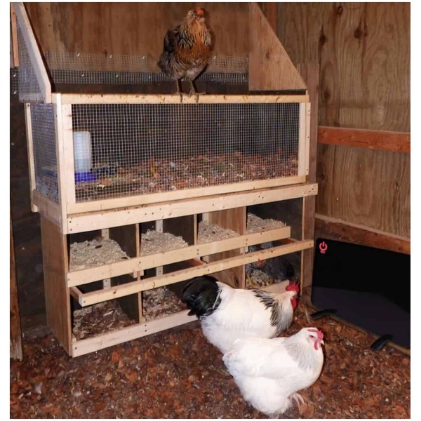 Warm Chickens Floormat.com Flat-panel coop heater keeps birds warm during cold months using both radiant & convection heat. Cozy Coop uses 87% less energy than a traditional 1,500 watt space heaters. Item Dimensions: 18.98" x 12.01” x 0.63" Box Dimensions: 22.83" x 13.19" x 1.89" Weight: 6 lbs <ul> <li>Safe, Efficient and Effective</li> <li>Uses just 200 Watts</li> <li>Surface heats up to 170 degrees</li> <li>Built-in thermostat</li> <li>Improves comfort and while also helping performance</li> <li>Silent and discreet</li> </ul>  