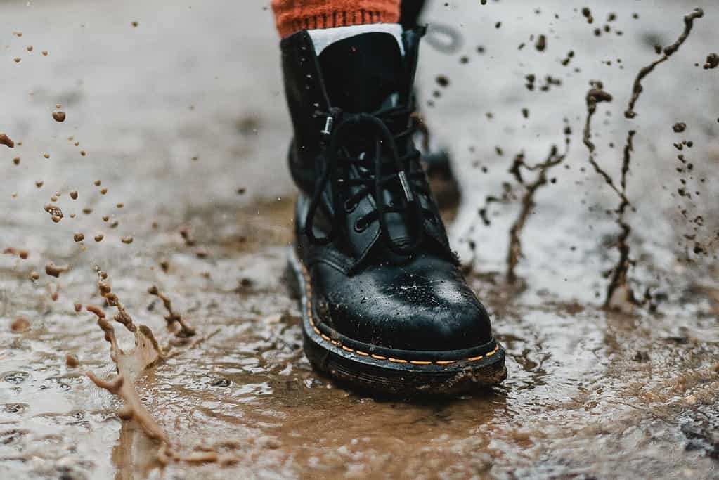 floormats clean shoes