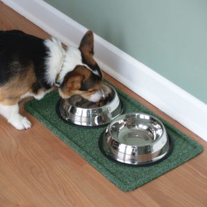 doggie butler Floormat.com
