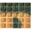 A close up of a green WaterHog Logo floor mat.